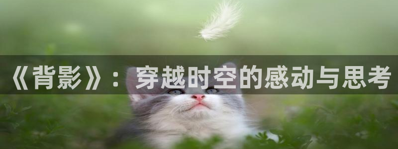 虫虫漫画入口免费观看：《背影》：穿越时空的感动与思考