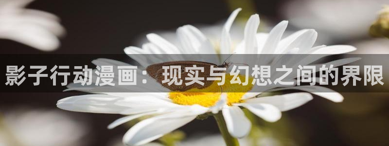 妖精歪歪汗汗虫虫漫画：影子行动漫画：现实与幻想之间的界限
